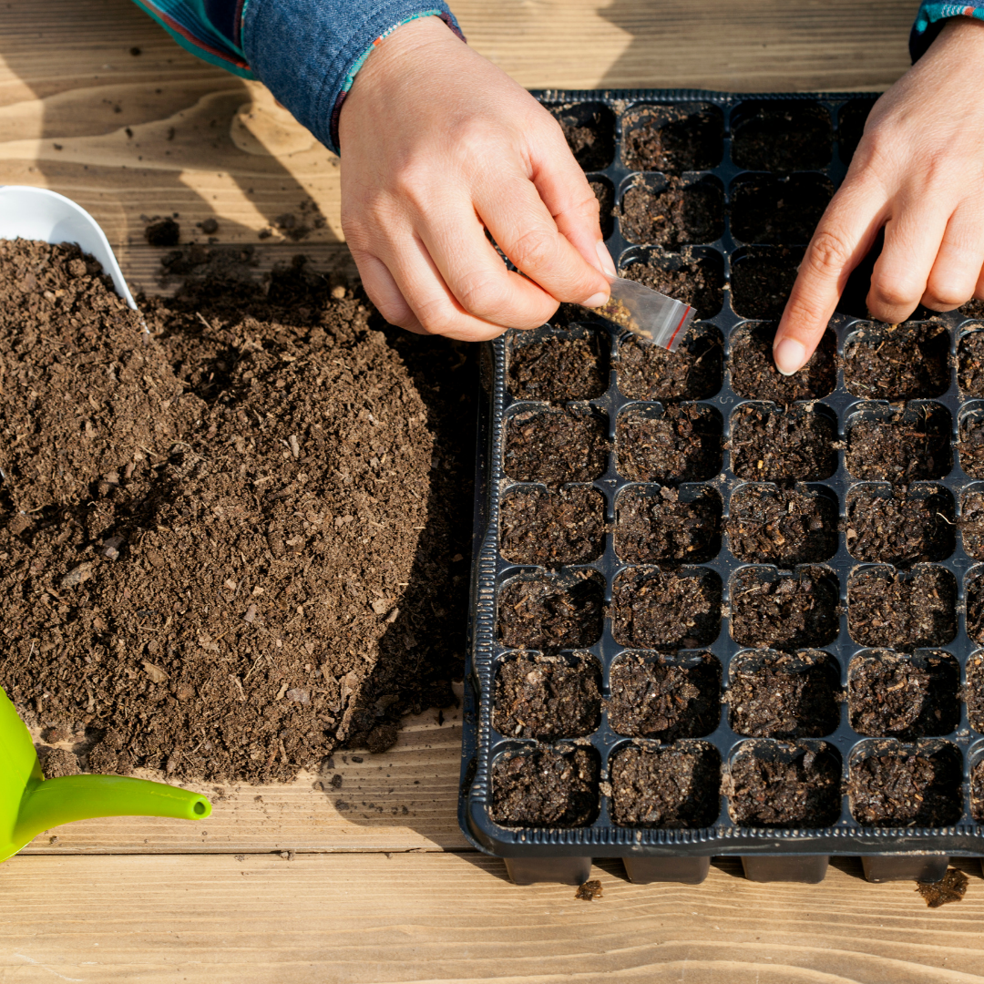 Planter ses propres légumes, séminaire à Giverny