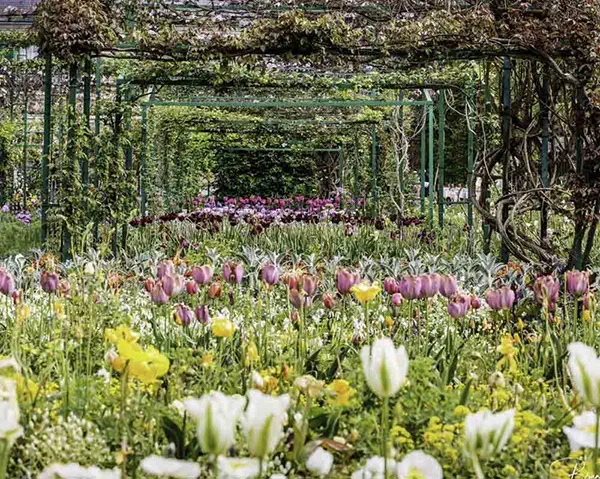 Les tulipes des jardins claude Monet, cohésion d'équipe et teambuilding